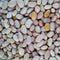 Bolitas Beans
